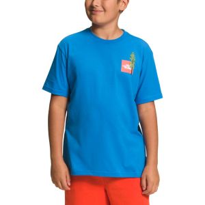 THE NORTH FACE REMERA GRAPHIC