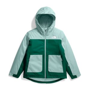 THE NORTH FACE CAMPERA FREEDOM INSULATED HOODIE