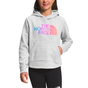 THE NORTH FACE BUZO CAMP FLEECE PO HDY