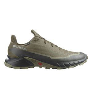 SALOMON ZAPATILLA ALPHACROSS 5 GTX
