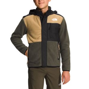 THE NORTH FACE CAMPERA FORREST FLEECE MASHUP HDY