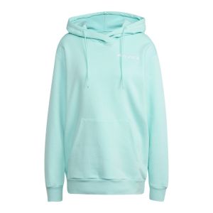 ADIDAS BUZO TERREX MULTI SMALL LOGO HOODIE