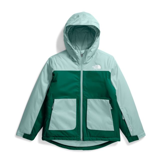THE NORTH FACE CAMPERA FREEDOM INSULATED HOODIE